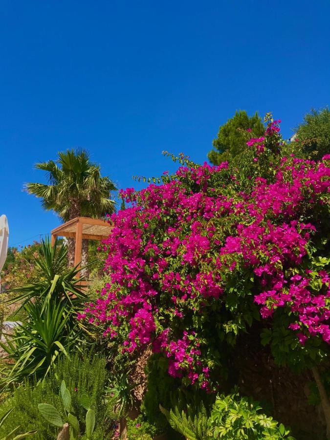Luxus Tholos Bay ภายนอก รูปภาพ
